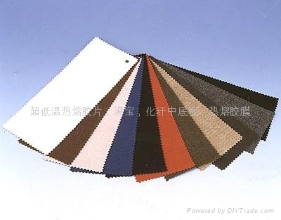 仿里皮 - FFL - FULI 廣東省鞋類配件生產(chǎn)商的品質(zhì)與信賴